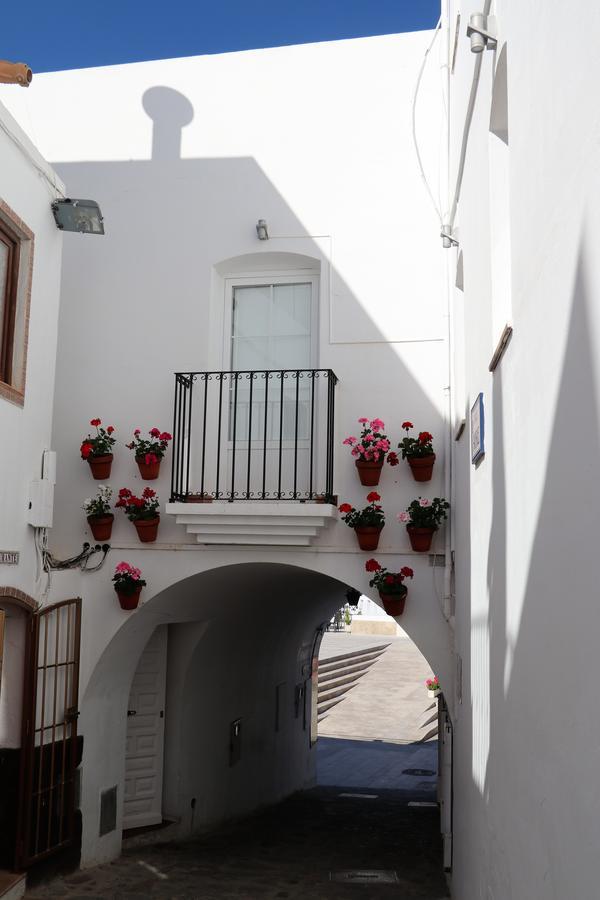 Guest house Arco Plaza 2*